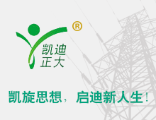 閥型避雷器計數(shù)器如何檢測？回顧國家絕緣子避雷器質(zhì)量監(jiān)督檢驗中心檢驗報告